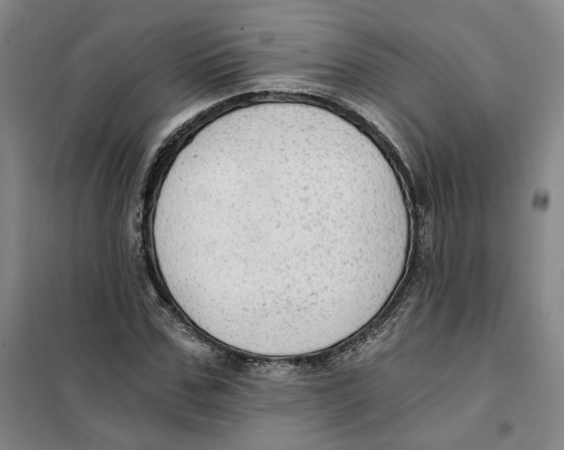 X0000101120971200807241155