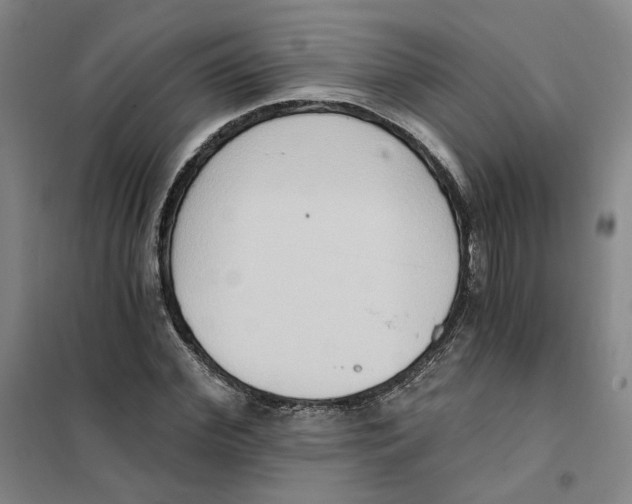 X0000101120972200807241155