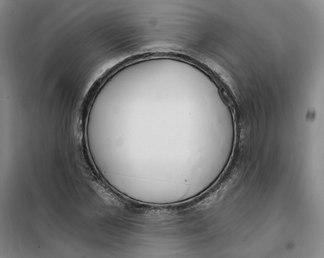 X0000101120973200807241155