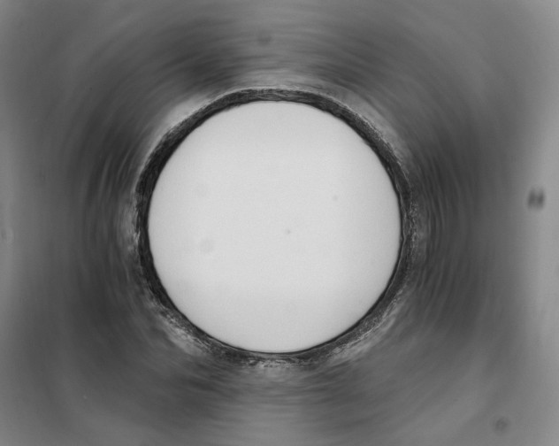 X0000101120974200807241155