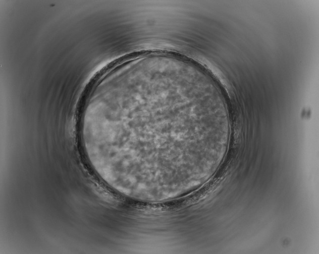 X0000101120975200807241155