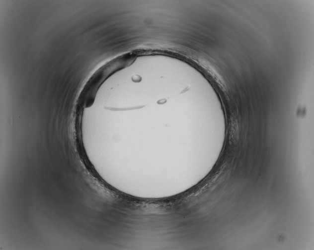 X0000101120976200807241155