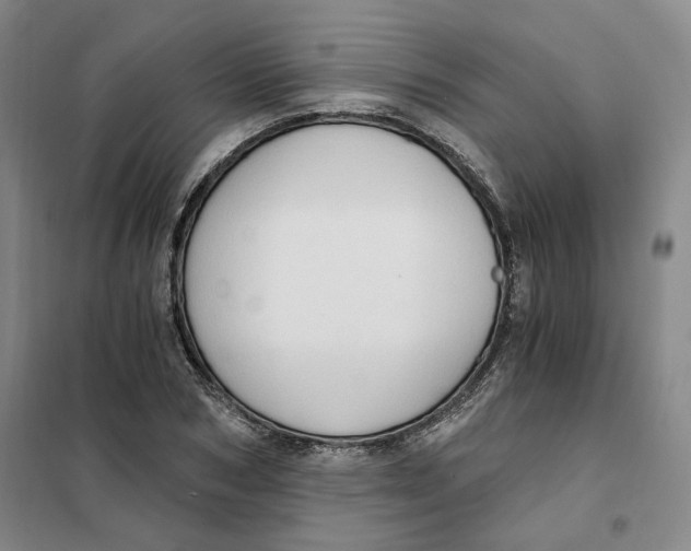 X0000101120978200807241155