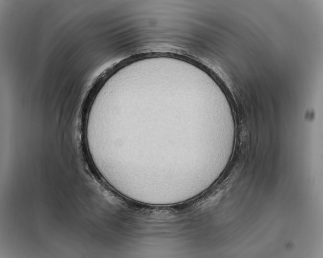 X0000101120979200807241155
