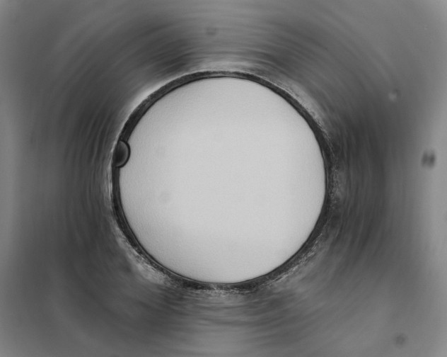 X0000101120980200807241155