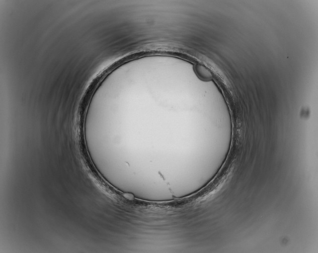 X0000101120981200807241155