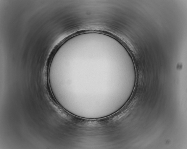 X0000101120982200807241155