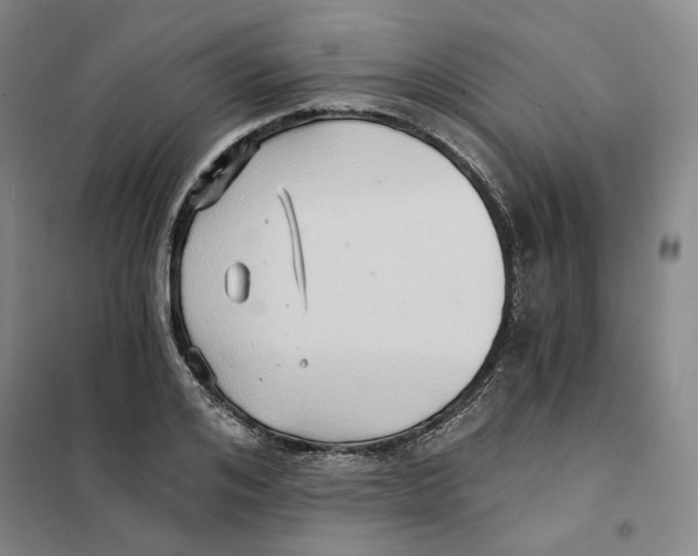 X0000101120984200807241155