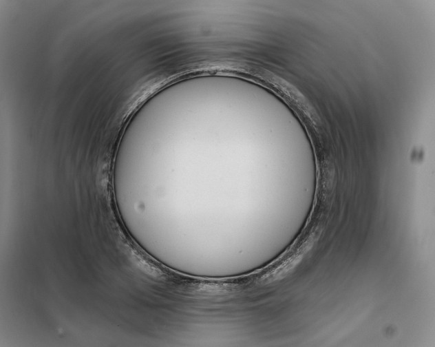 X0000101120985200807241155
