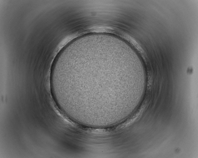 X0000101120986200807241155