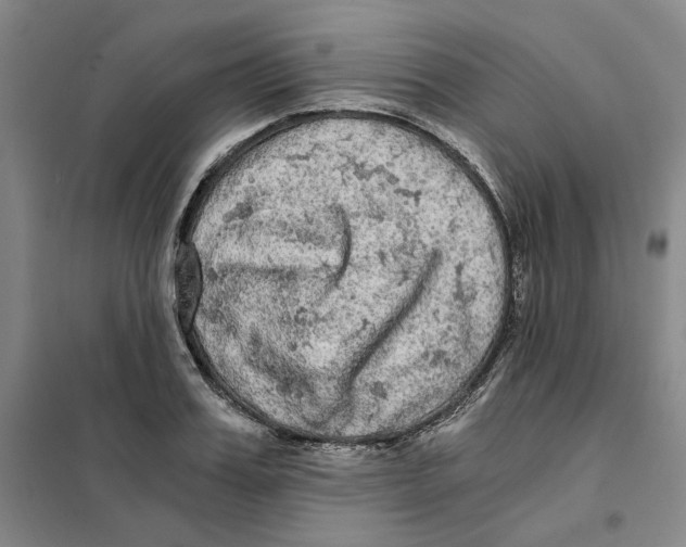 X0000101120987200807241155