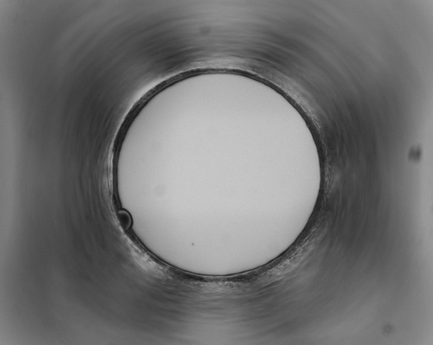 X0000101120988200807241155