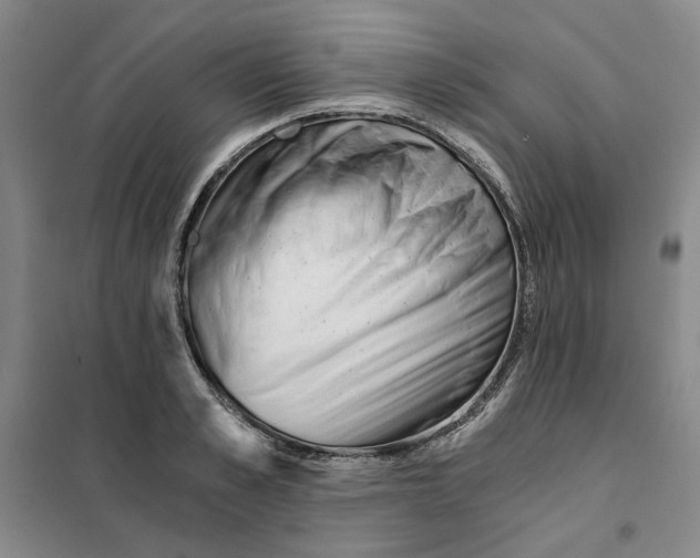 X0000101120989200807241155