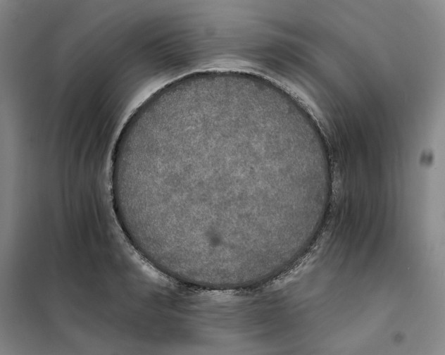 X0000101120990200807241155