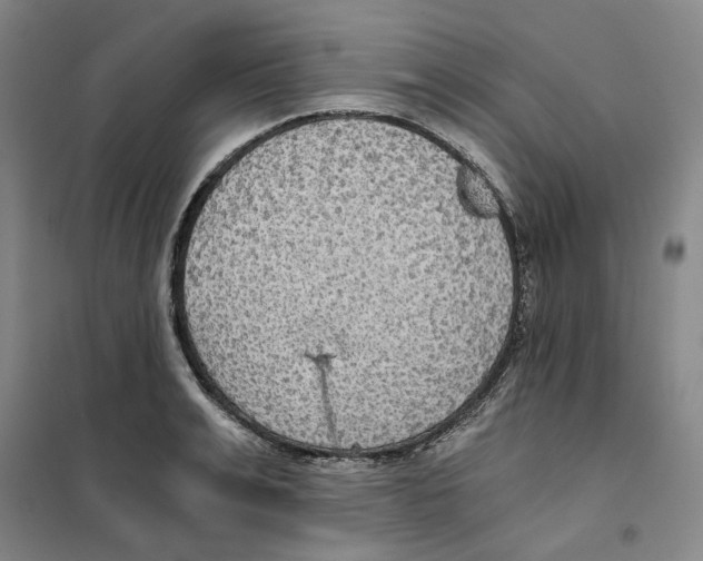 X0000101120991200807241155
