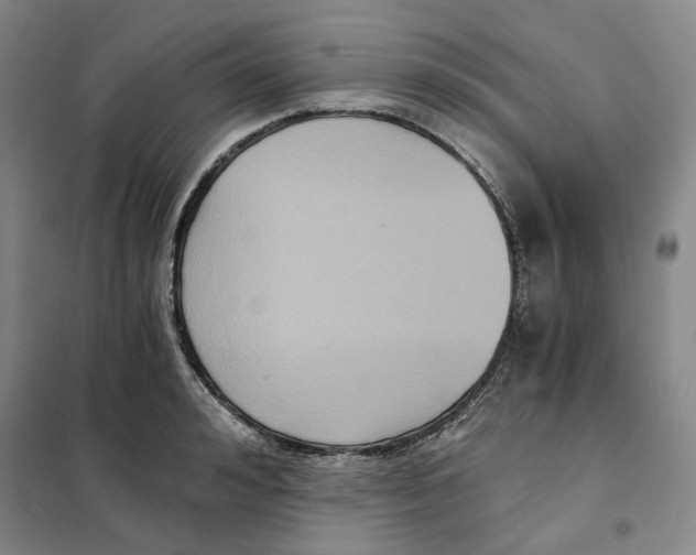 X0000101120992200807241155