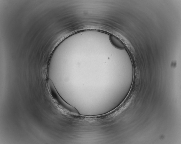 X0000101120993200807241155