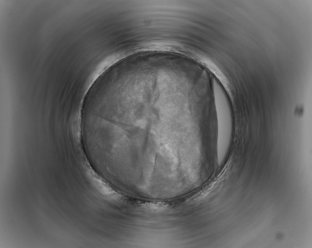 X0000101120994200807241155