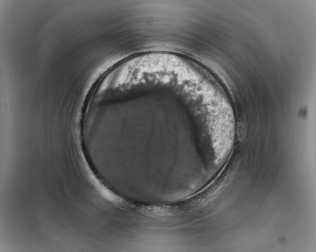 X0000101120995200807241155