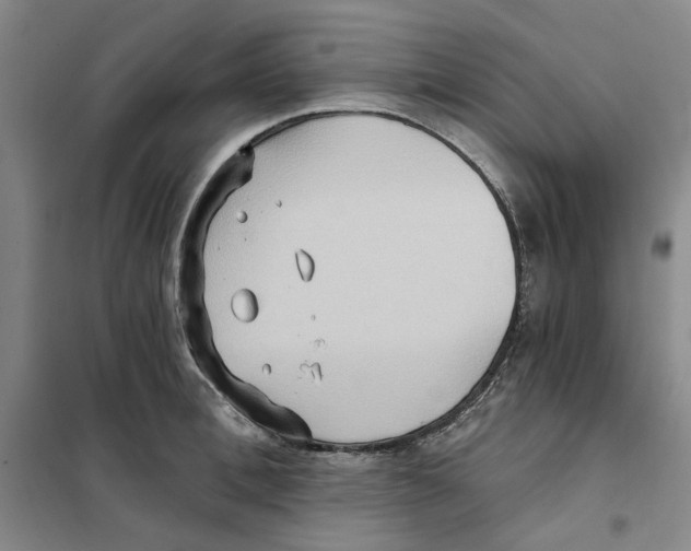 X0000101120996200807241154