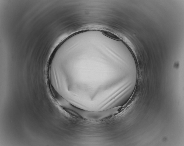 X0000101120997200807241154