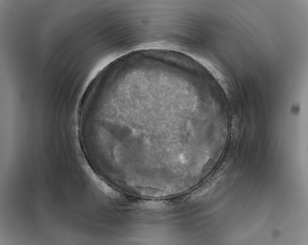 X0000101120998200807241154