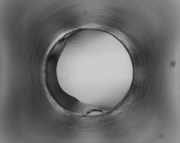 X0000101121000200807241154