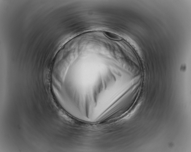 X0000101121001200807241154