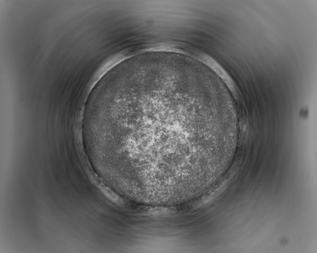 X0000101121002200807241154