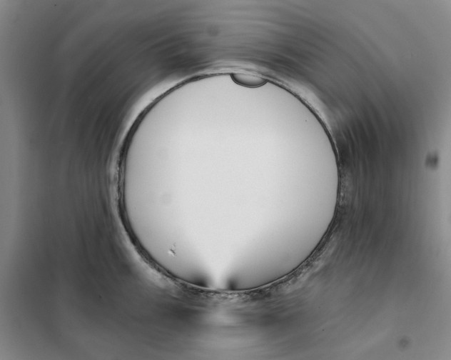 X0000101121003200807241154