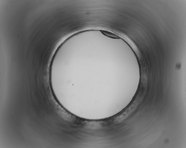 X0000101121004200807241154