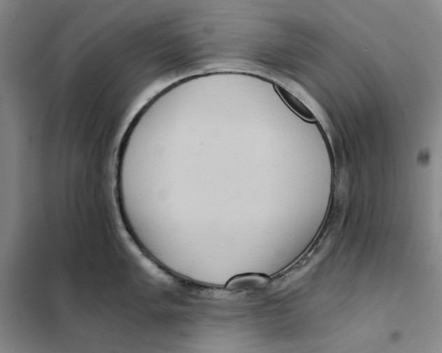 X0000101121005200807241154
