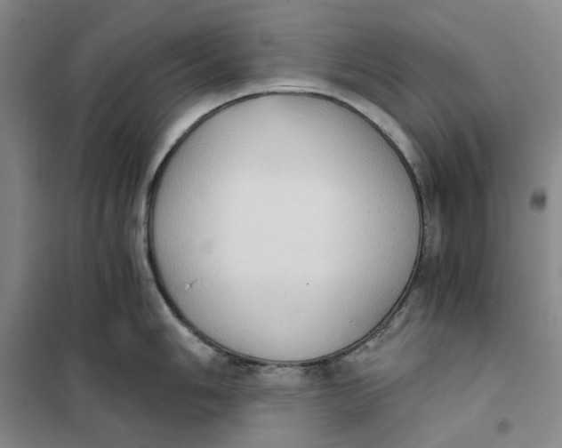X0000101121006200807241154
