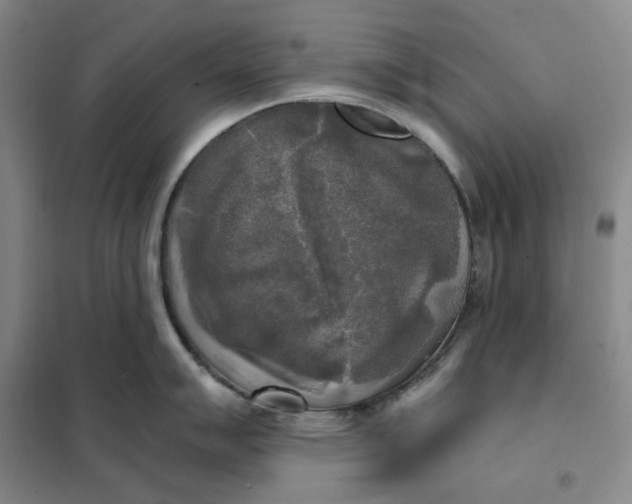X0000101121007200807241154
