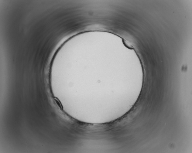 X0000101121008200807241154