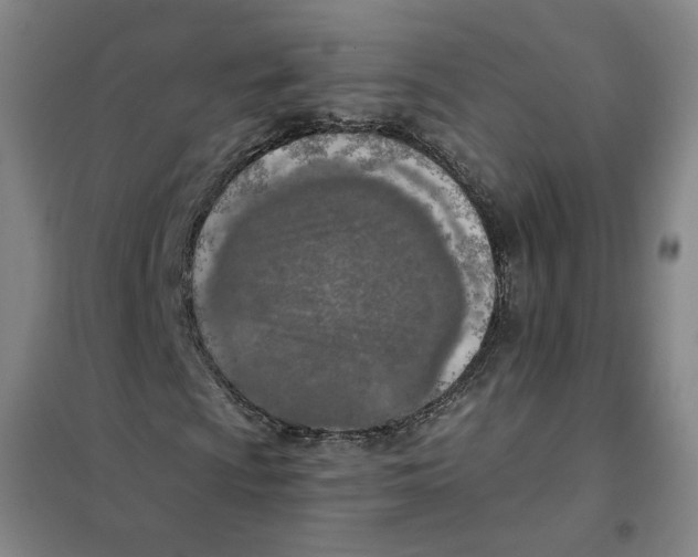 X0000101121009200807241153