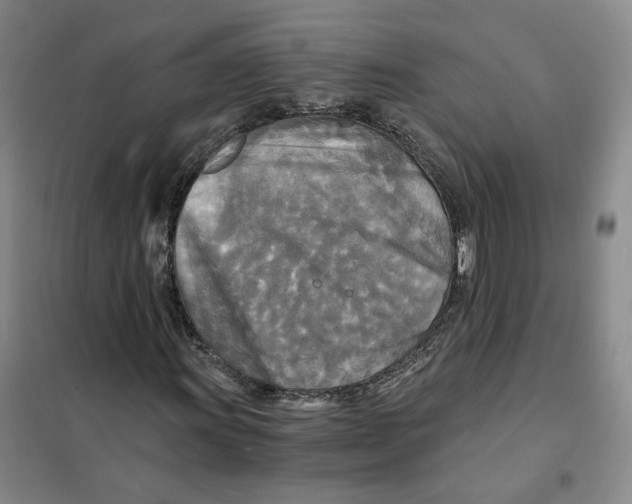 X0000101121011200807241153