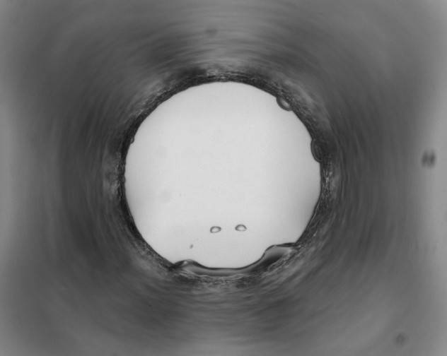 X0000101121012200807241153