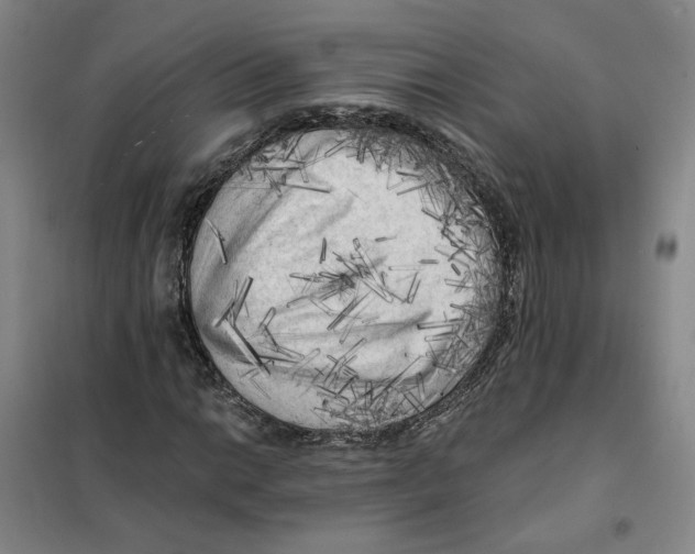 X0000101121014200807241153