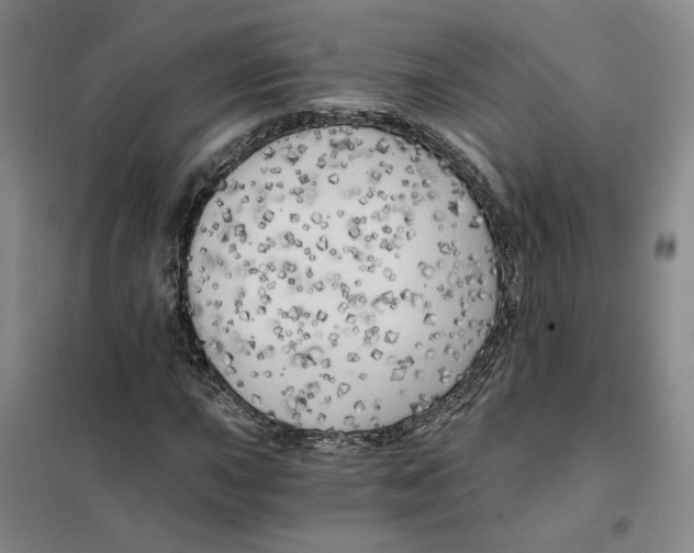 X0000101121015200807241153