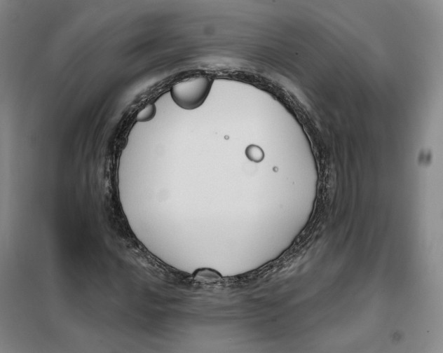 X0000101121016200807241153