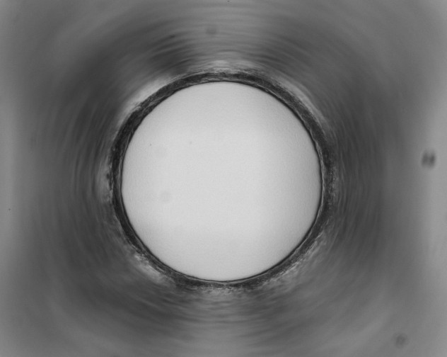 X0000101121018200807241154