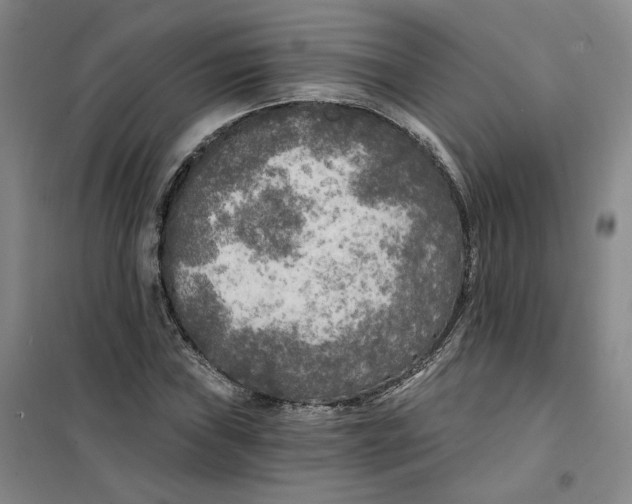 X0000101121019200807241154
