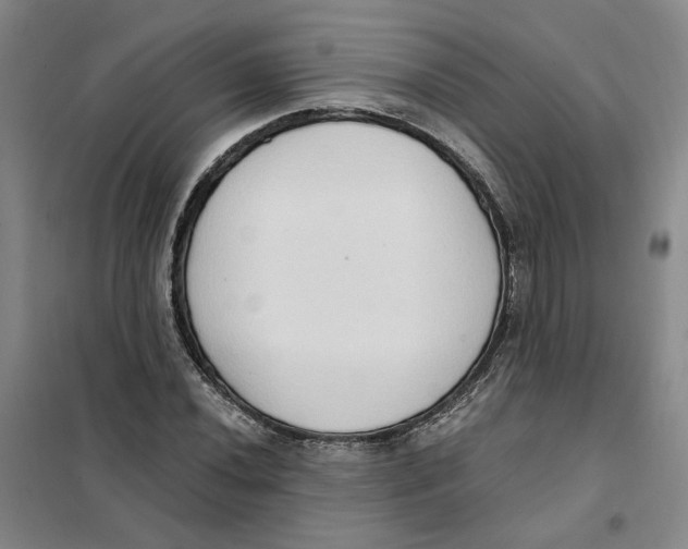 X0000101121020200807241154