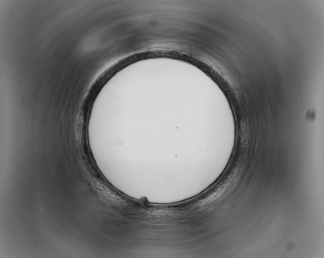X0000101121021200807241154
