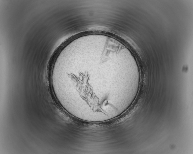 X0000101121022200807241154