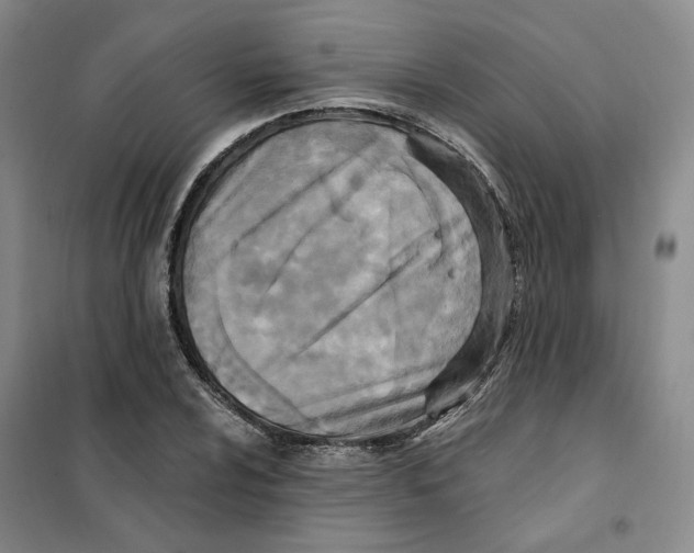 X0000101121024200807241154