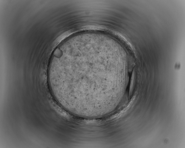 X0000101121025200807241154