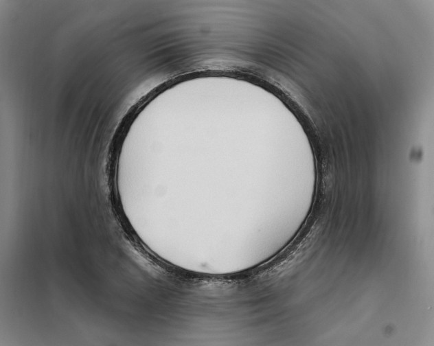 X0000101121026200807241154