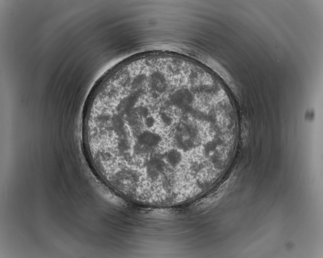 X0000101121028200807241154